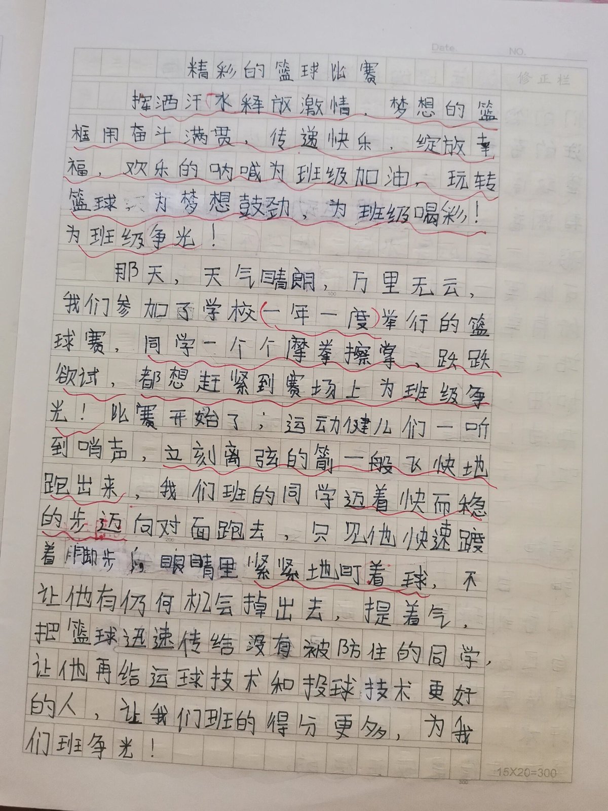 篮球训练的收获感想怎么写三年级