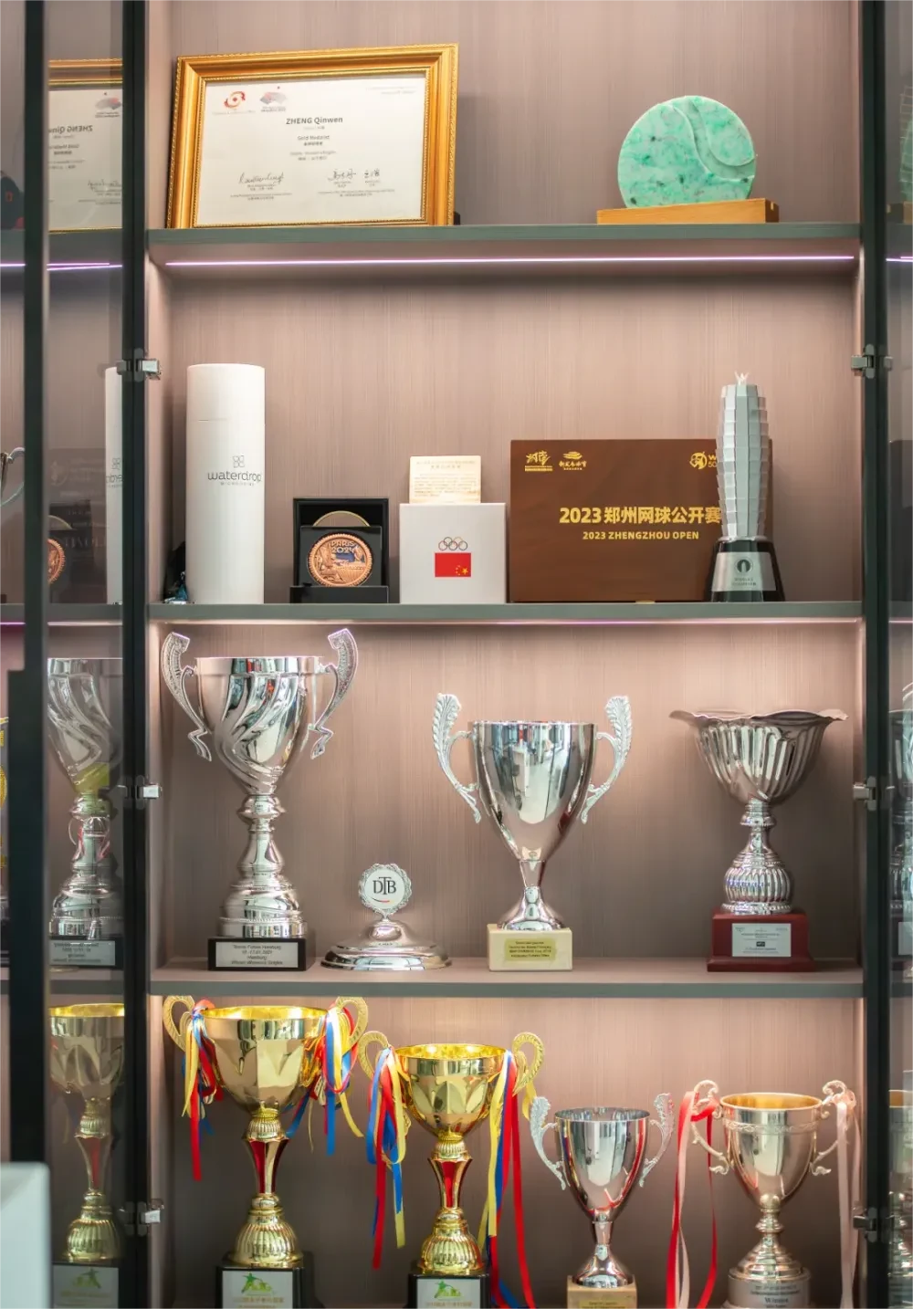 篮球训练馆展示柜放置奖杯球衣证书
